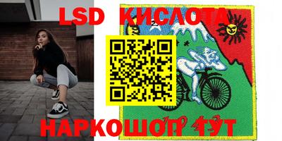 шишки Славгород