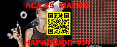 шишки Славгород