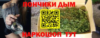 шишки Славгород